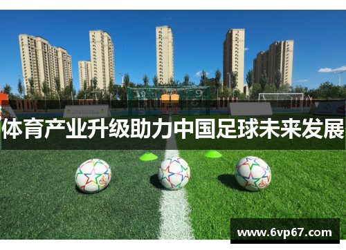 体育产业升级助力中国足球未来发展