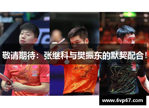 敬请期待：张继科与樊振东的默契配合！